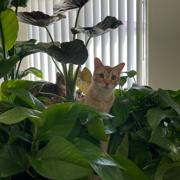 Meet your Posher, Kristina! - Picture 11 of 16